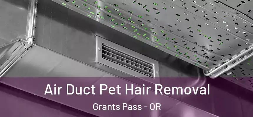  Air Duct Pet Hair Removal Grants Pass - OR
