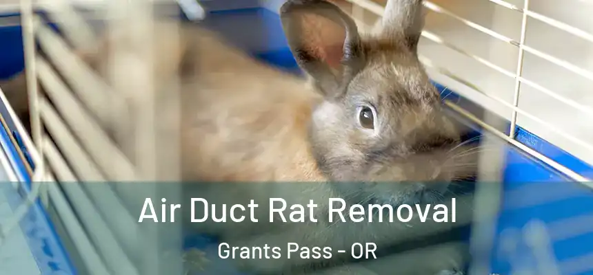  Air Duct Rat Removal Grants Pass - OR