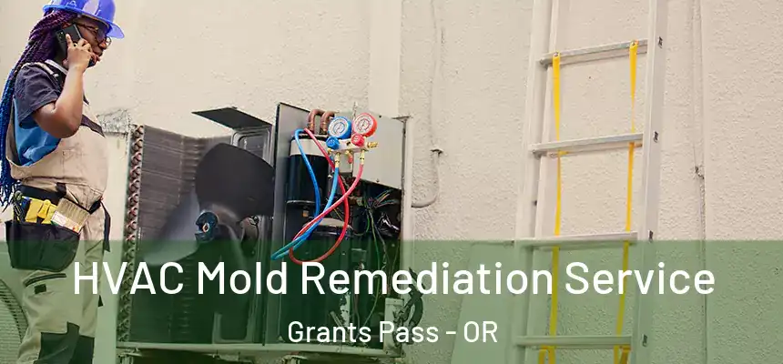  HVAC Mold Remediation Service Grants Pass - OR