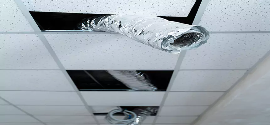 Affordable HVAC Sanitizing After Pest Removal in Grants Pass