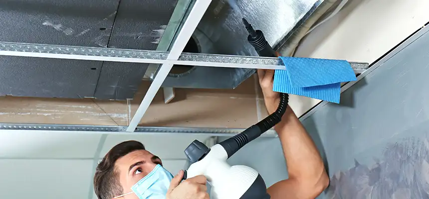 Our Air Duct Rodent Removal Services in Grants Pass, OR
