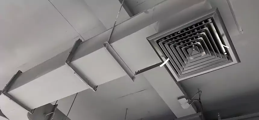 Restorative Allergy Relief Vent Cleaning – Coil, Blower & Housing Detail in Grants Pass