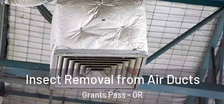  Insect Removal from Air Ducts Grants Pass - OR