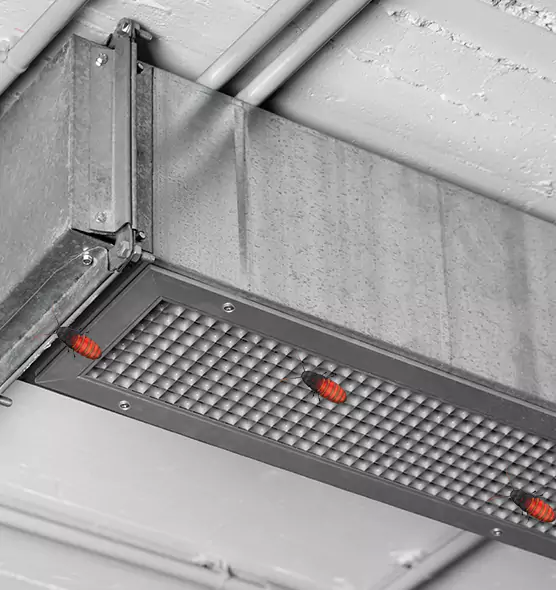 About Air Duct Cockroach Removal in Grants Pass, OR