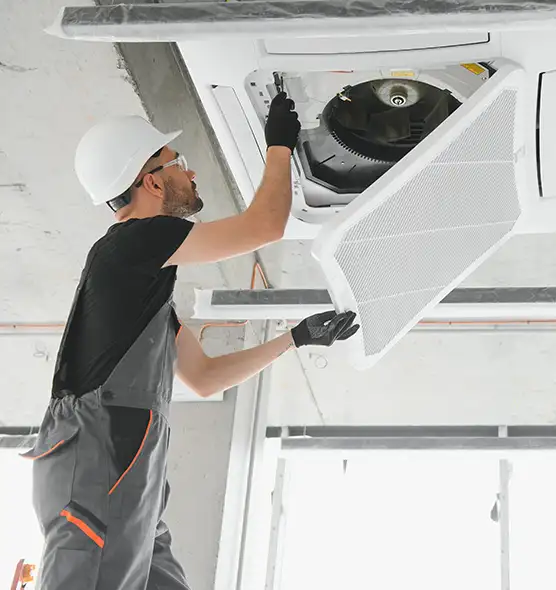 About Air Duct Rodent Removal in Grants Pass, OR