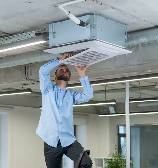 Advanced Rodent Droppings In Vents in Grants Pass, OR