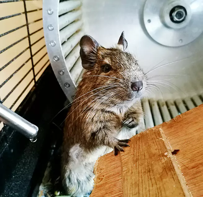 Why Homeowners & Businesses Trust Us Grants Pass, OR